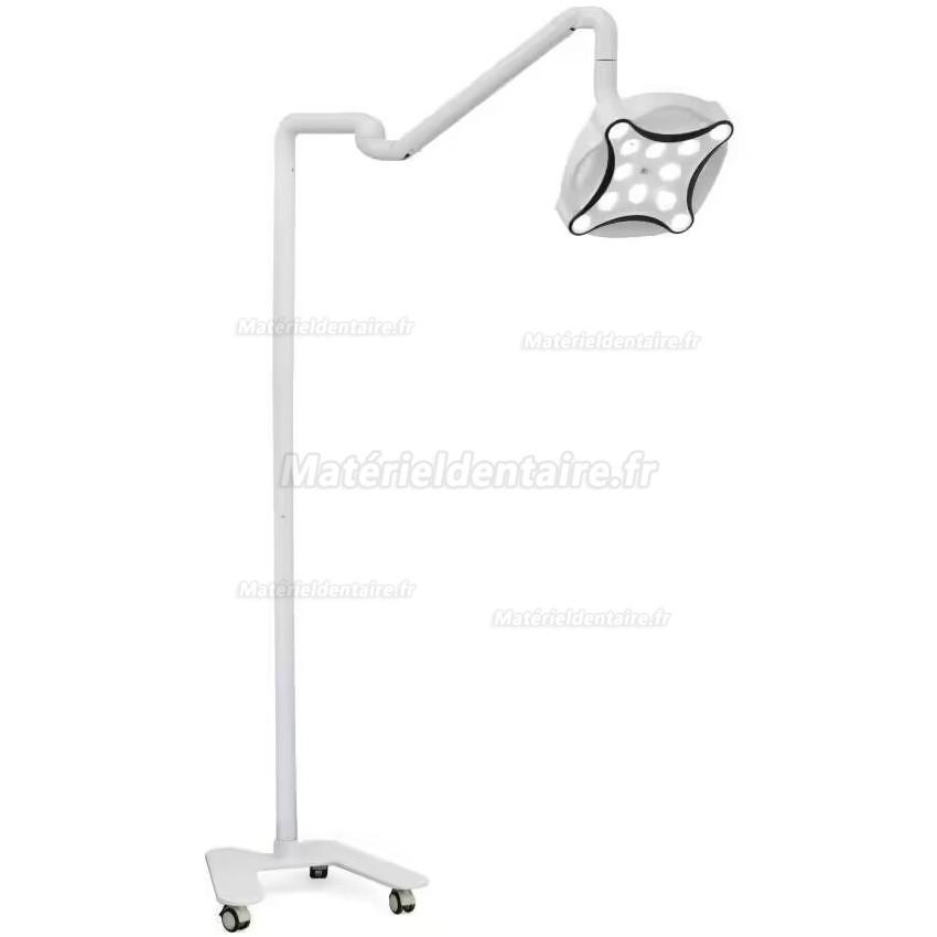 Micare JD1700 Lampe chirurgicale dentaire Lampe LED Scialytique (modèle à pied)